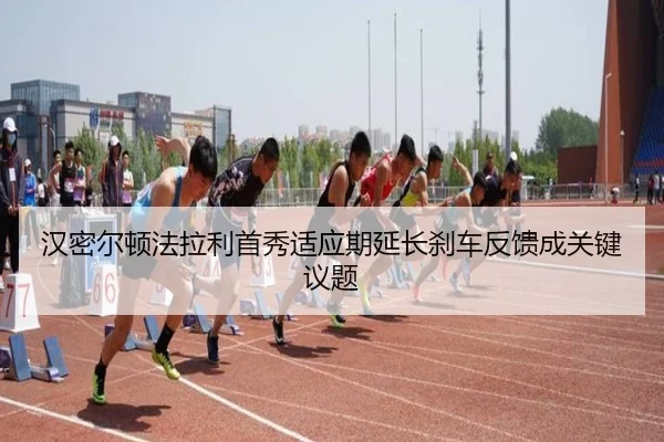 img_1785494817935_431_0_423.jpg